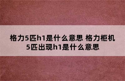 格力5匹h1是什么意思 格力柜机5匹出现h1是什么意思